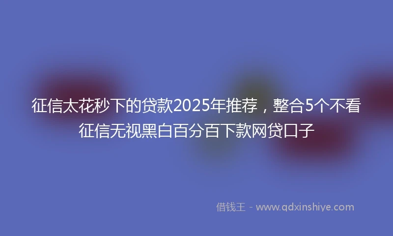 征信太花秒下的贷款2025年推荐，整合5个不看征信无视黑白百分百下款网贷口子