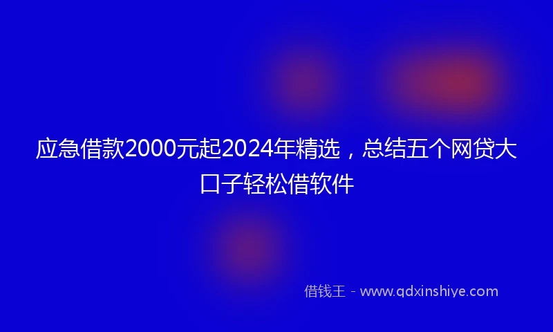 应急借款2000元起2024年精选，总结五个网贷大口子轻松借软件