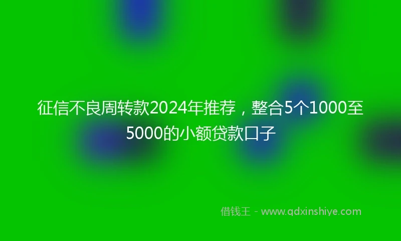 征信不良周转款2024年推荐，整合5个1000至5000的小额贷款口子