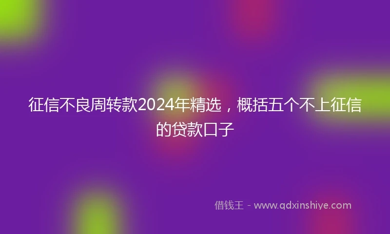 征信不良周转款2024年精选，概括五个不上征信的贷款口子