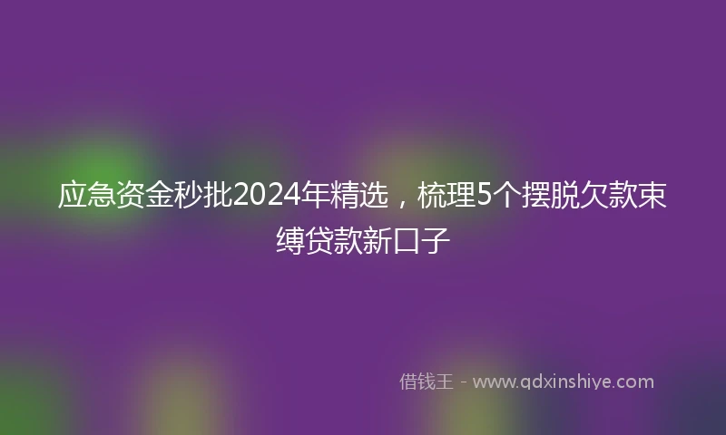 应急资金秒批2024年精选，梳理5个摆脱欠款束缚贷款新口子