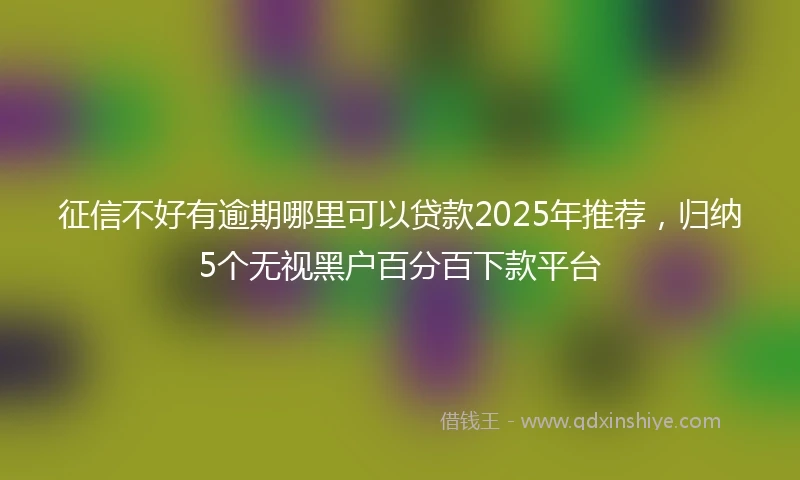 征信不好有逾期哪里可以贷款2025年推荐，归纳5个无视黑户百分百下款平台