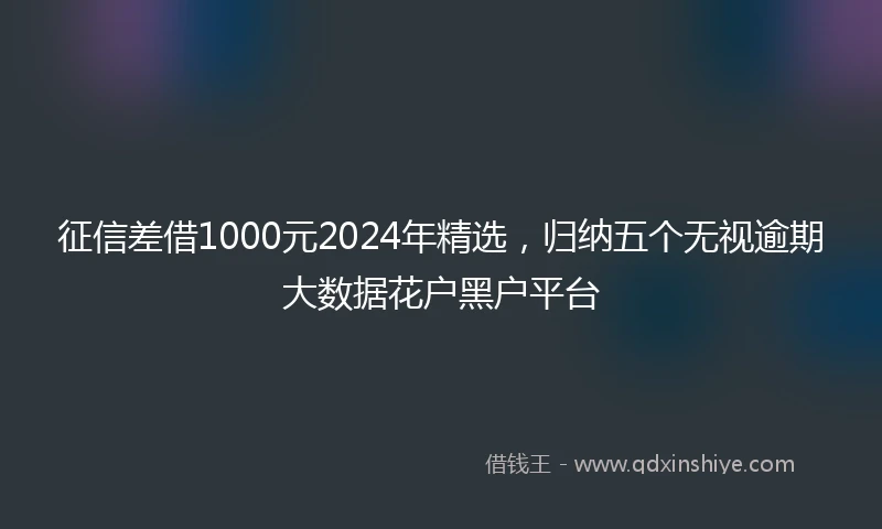 征信差借1000元2024年精选，归纳五个无视逾期大数据花户黑户平台