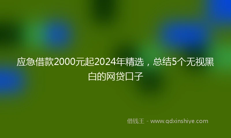 应急借款2000元起2024年精选，总结5个无视黑白的网贷口子