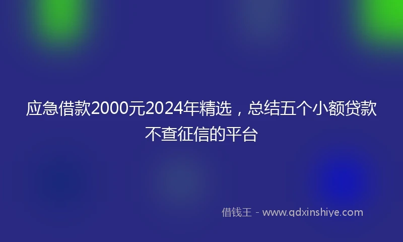 应急借款2000元2024年精选，总结五个小额贷款不查征信的平台