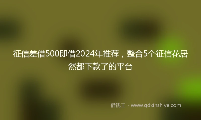 征信差借500即借2024年推荐，整合5个征信花居然都下款了的平台
