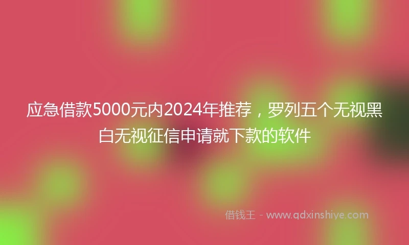 应急借款5000元内2024年推荐，罗列五个无视黑白无视征信申请就下款的软件