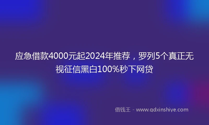 应急借款4000元起2024年推荐，罗列5个真正无视征信黑白100%秒下网贷
