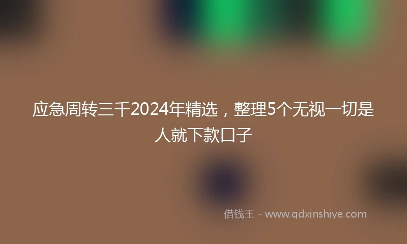 应急周转三千2024年精选，整理5个无视一切是人就下款口子