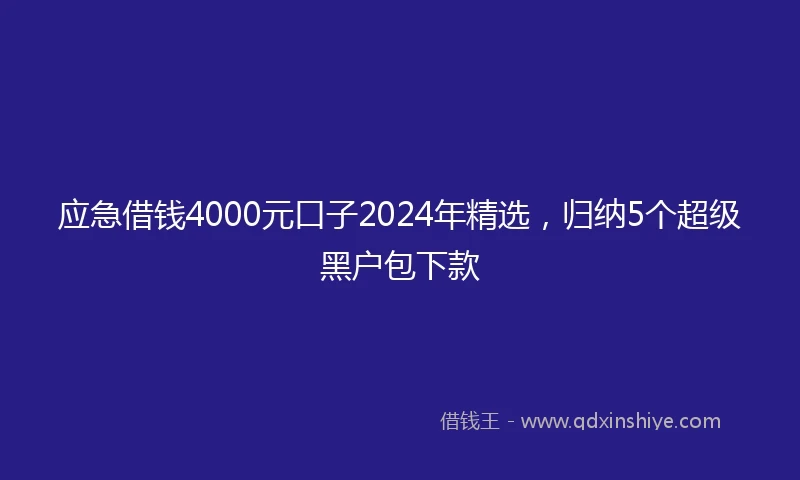 应急借钱4000元口子2024年精选，归纳5个超级黑户包下款