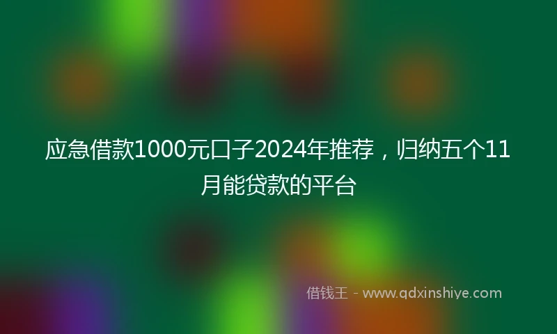 应急借款1000元口子2024年推荐，归纳五个11月能贷款的平台