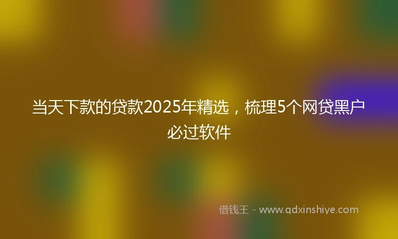 当天下款的贷款2025年精选，梳理5个网贷黑户必过软件