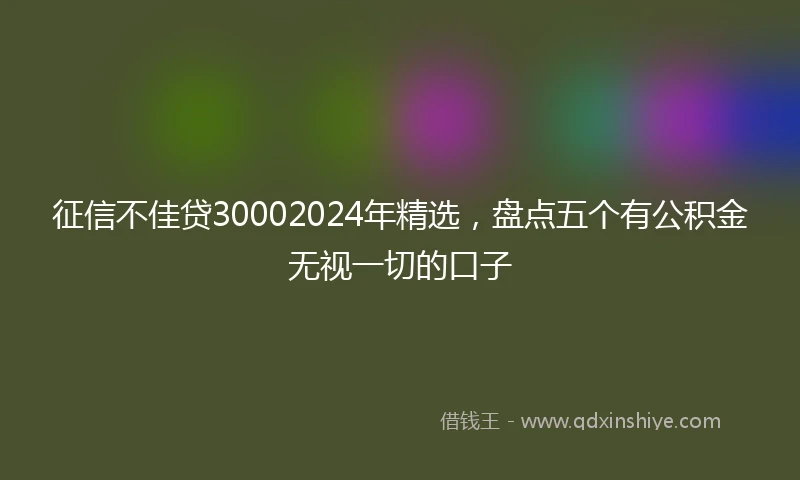 征信不佳贷30002024年精选，盘点五个有公积金无视一切的口子