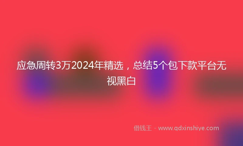 应急周转3万2024年精选，总结5个包下款平台无视黑白