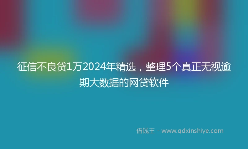 征信不良贷1万2024年精选，整理5个真正无视逾期大数据的网贷软件