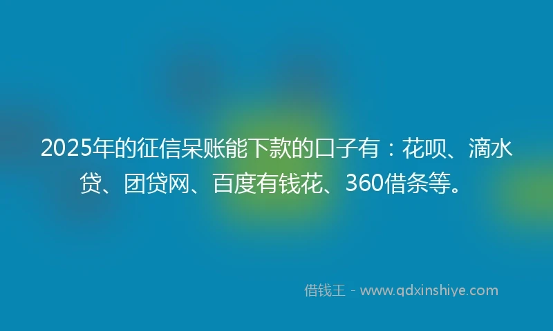 2025年的征信呆账能下款的口子有：花呗、滴水贷、团贷网、百度有钱花、360借条等。