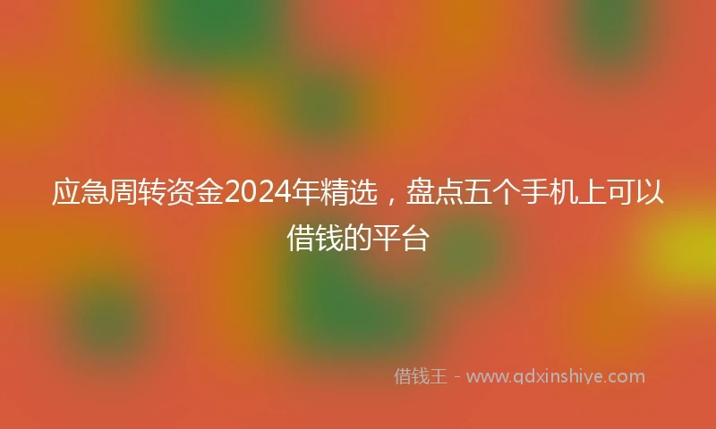 应急周转资金2024年精选，盘点五个手机上可以借钱的平台