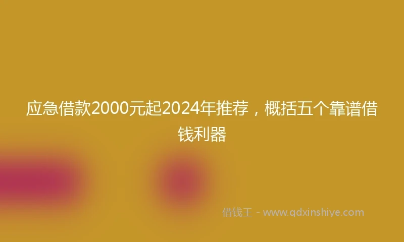 应急借款2000元起2024年推荐，概括五个靠谱借钱利器