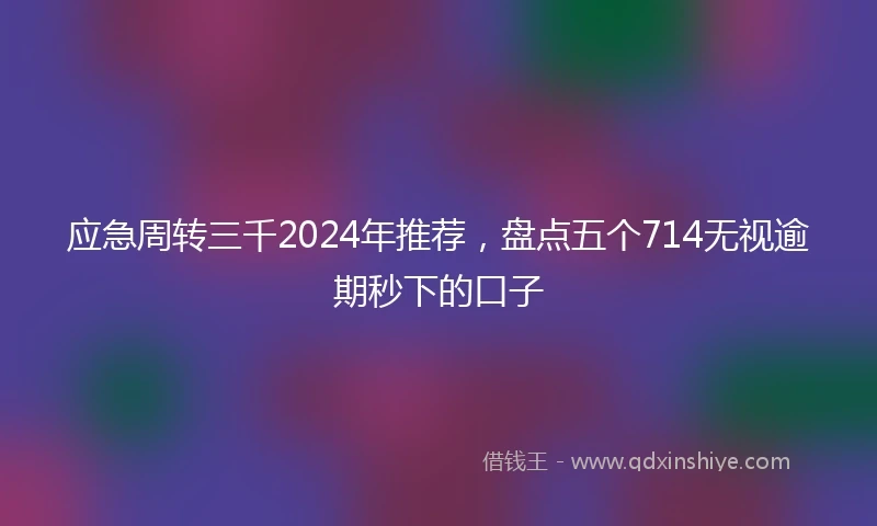 应急周转三千2024年推荐，盘点五个714无视逾期秒下的口子