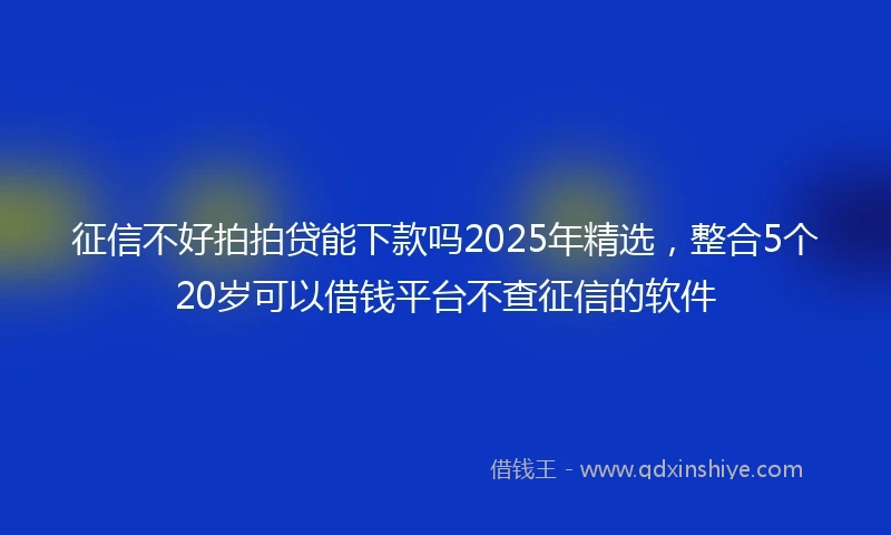 征信不好拍拍贷能下款吗2025年精选，整合5个20岁可以借钱平台不查征信的软件