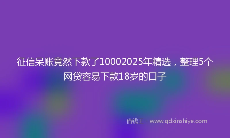 征信呆账竟然下款了10002025年精选，整理5个网贷容易下款18岁的口子