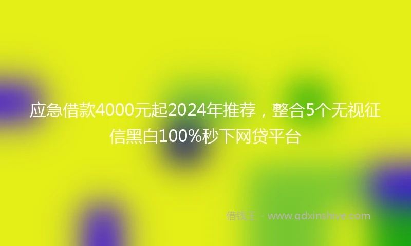 应急借款4000元起2024年推荐，整合5个无视征信黑白100%秒下网贷平台