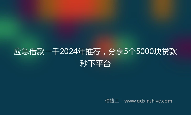 应急借款一千2024年推荐，分享5个5000块贷款秒下平台