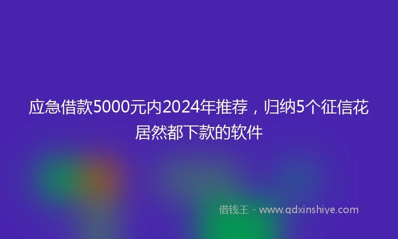 应急借款5000元内2024年推荐，归纳5个征信花居然都下款的软件