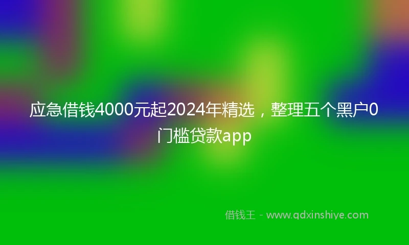 应急借钱4000元起2024年精选，整理五个黑户0门槛贷款app