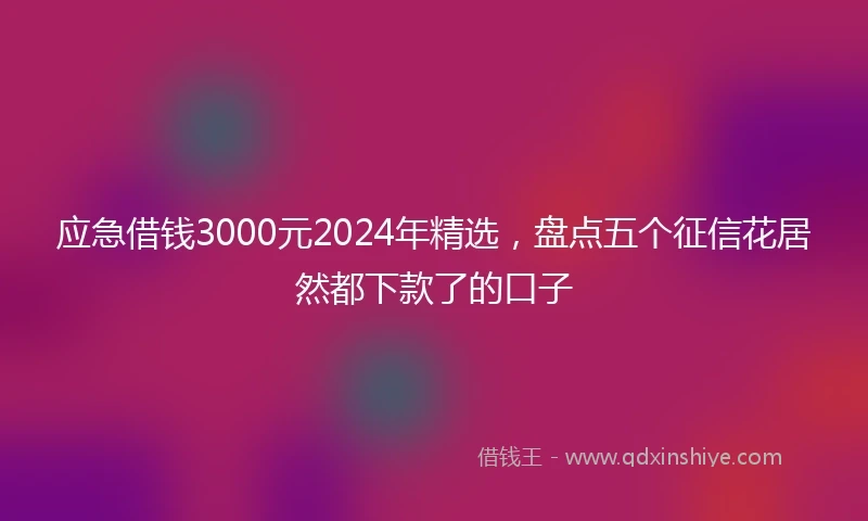 应急借钱3000元2024年精选，盘点五个征信花居然都下款了的口子