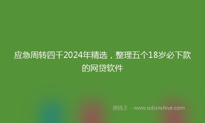 应急周转四千2024年精选，整理五个18岁必下款的网贷软件