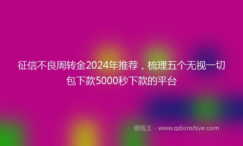 征信不良周转金2024年推荐，梳理五个无视一切包下款5000秒下款的平台