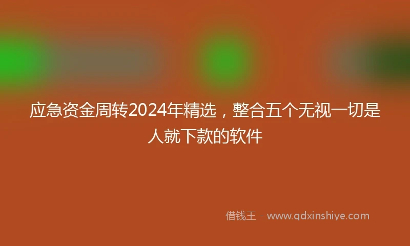 应急资金周转2024年精选，整合五个无视一切是人就下款的软件