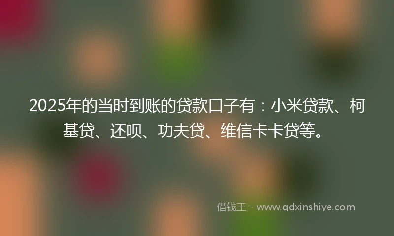 2025年的当时到账的贷款口子有：小米贷款、柯基贷、还呗、功夫贷、维信卡卡贷等。