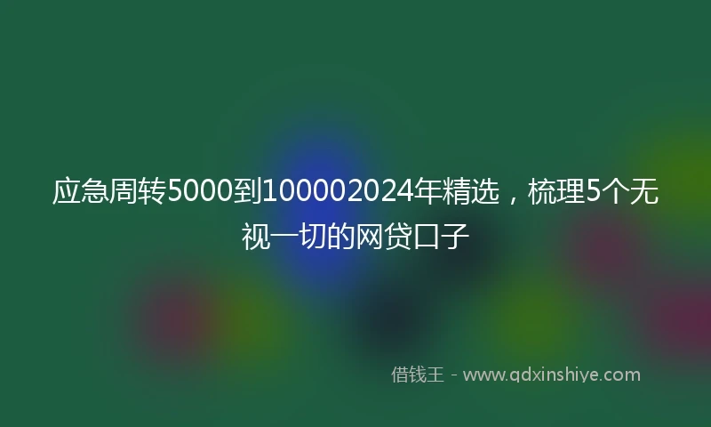 应急周转5000到100002024年精选，梳理5个无视一切的网贷口子