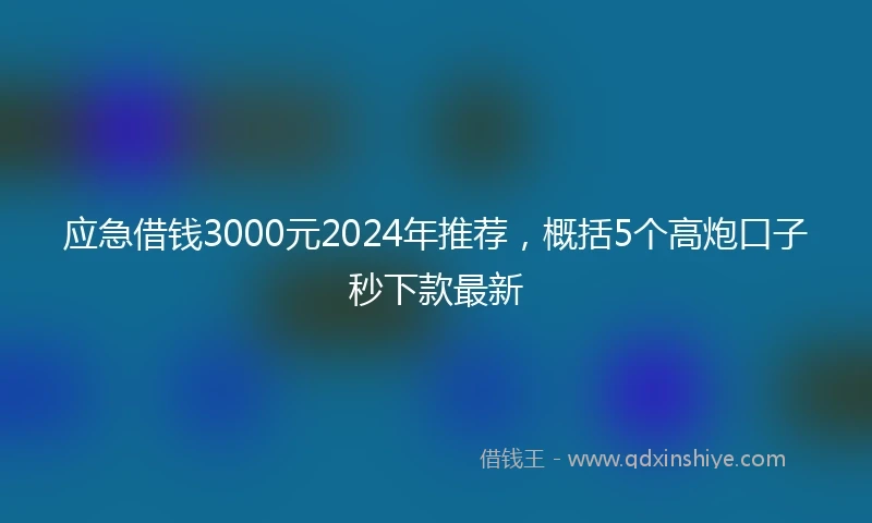 应急借钱3000元2024年推荐，概括5个高炮口子秒下款最新