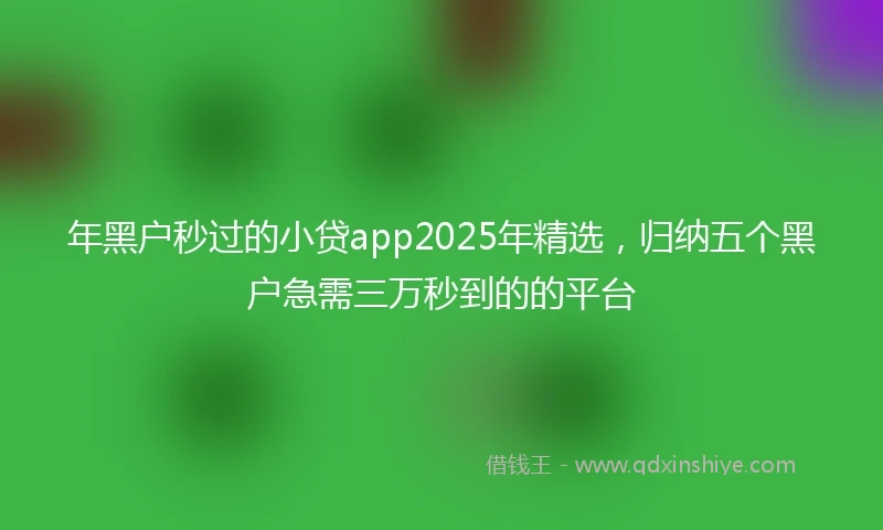 年黑户秒过的小贷app2025年精选，归纳五个黑户急需三万秒到的的平台