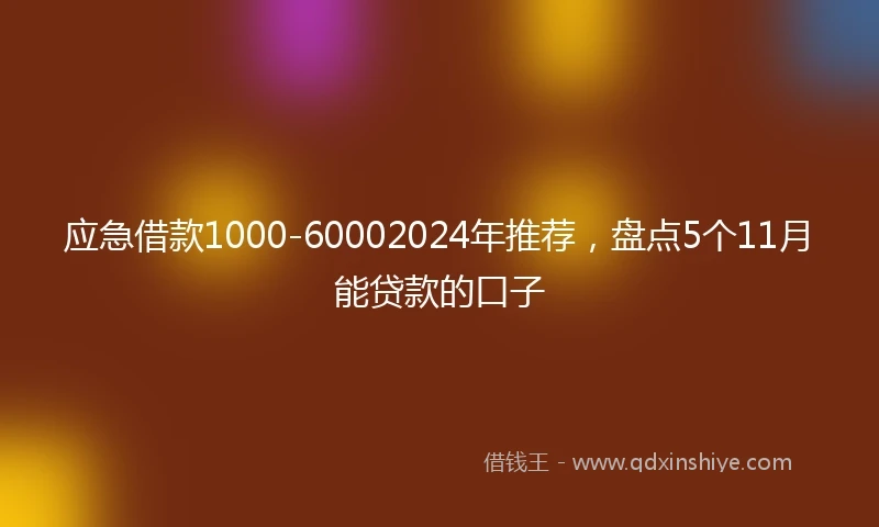 应急借款1000-60002024年推荐，盘点5个11月能贷款的口子