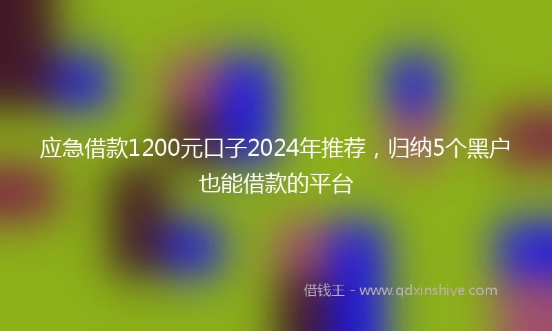 应急借款1200元口子2024年推荐，归纳5个黑户也能借款的平台