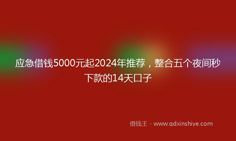 应急借钱5000元起2024年推荐，整合五个夜间秒下款的14天口子
