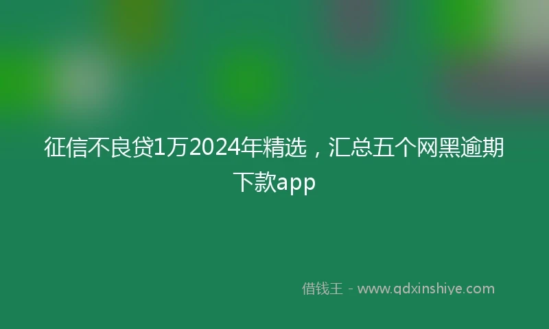 征信不良贷1万2024年精选，汇总五个网黑逾期下款app