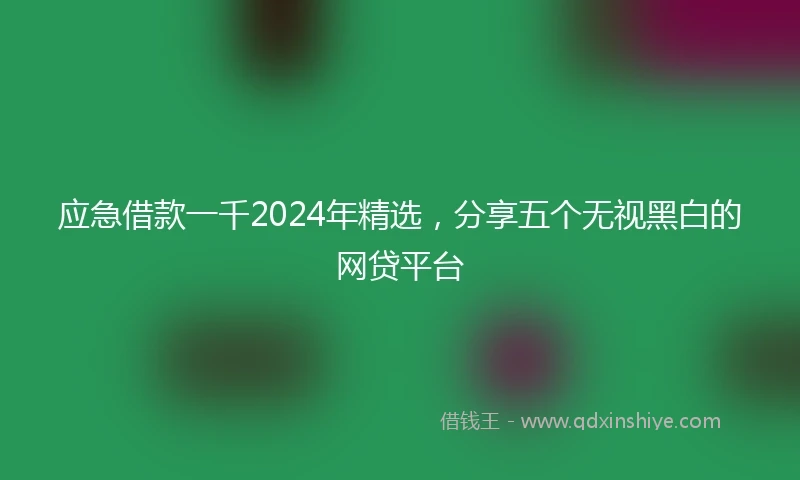 应急借款一千2024年精选，分享五个无视黑白的网贷平台