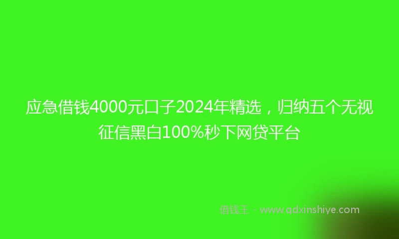 应急借钱4000元口子2024年精选，归纳五个无视征信黑白100%秒下网贷平台