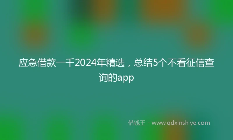 应急借款一千2024年精选，总结5个不看征信查询的app