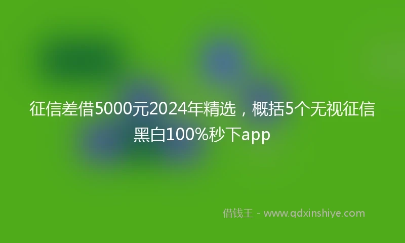 征信差借5000元2024年精选，概括5个无视征信黑白100%秒下app