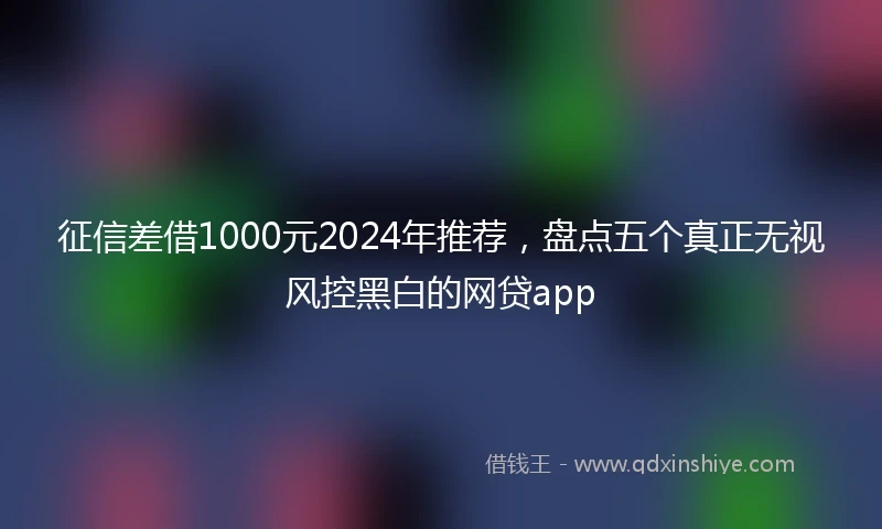 征信差借1000元2024年推荐，盘点五个真正无视风控黑白的网贷app