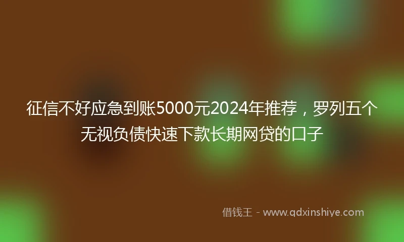 征信不好应急到账5000元2024年推荐，罗列五个无视负债快速下款长期网贷的口子