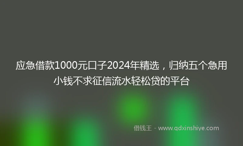 应急借款1000元口子2024年精选，归纳五个急用小钱不求征信流水轻松贷的平台