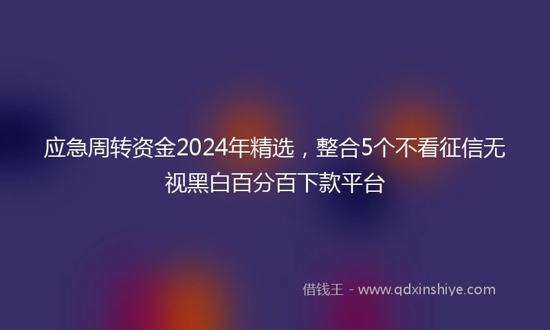 应急周转资金2024年精选，整合5个不看征信无视黑白百分百下款平台