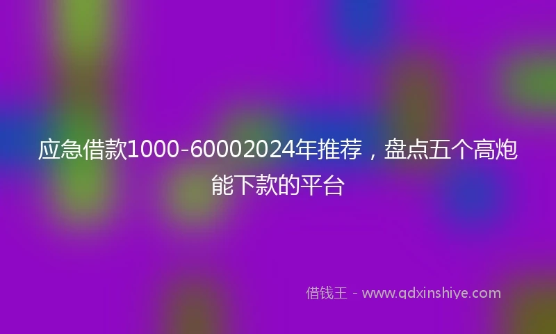 应急借款1000-60002024年推荐，盘点五个高炮能下款的平台